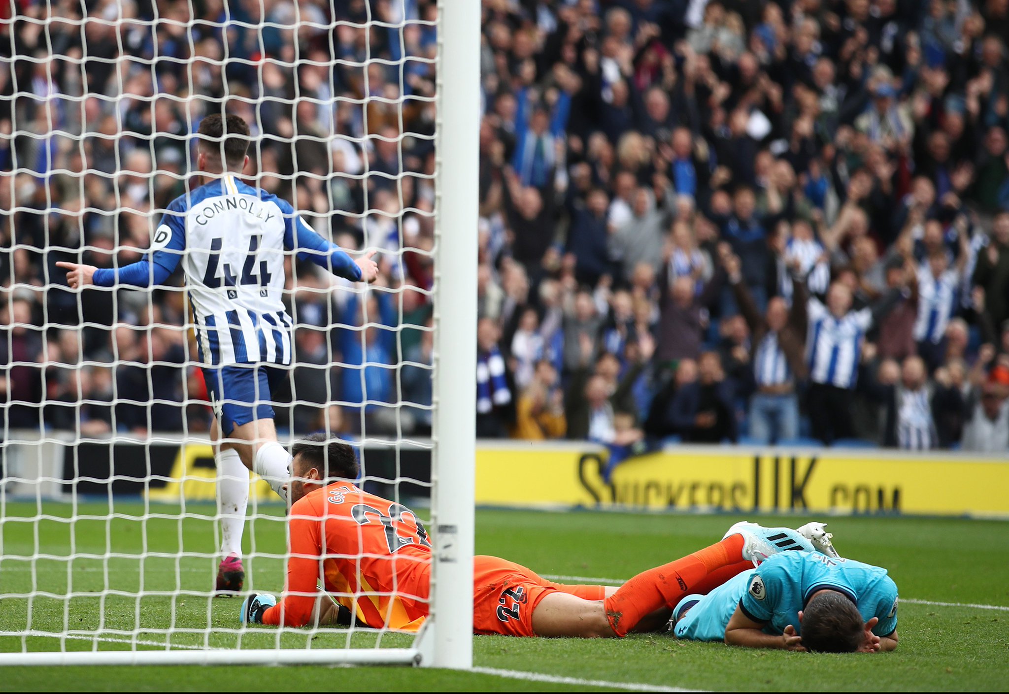 由来已久 由来已久