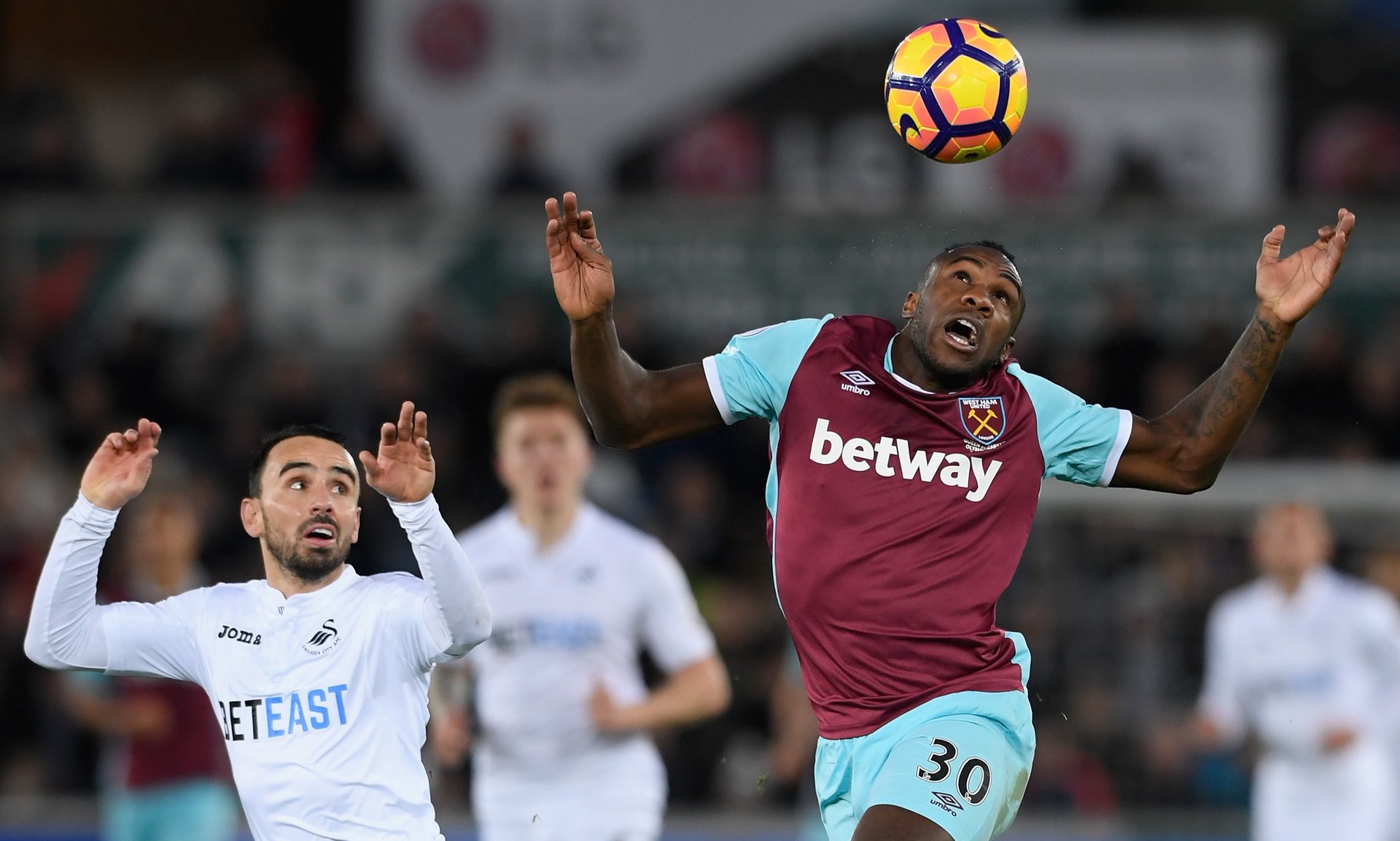 供了一条关 供了一条关